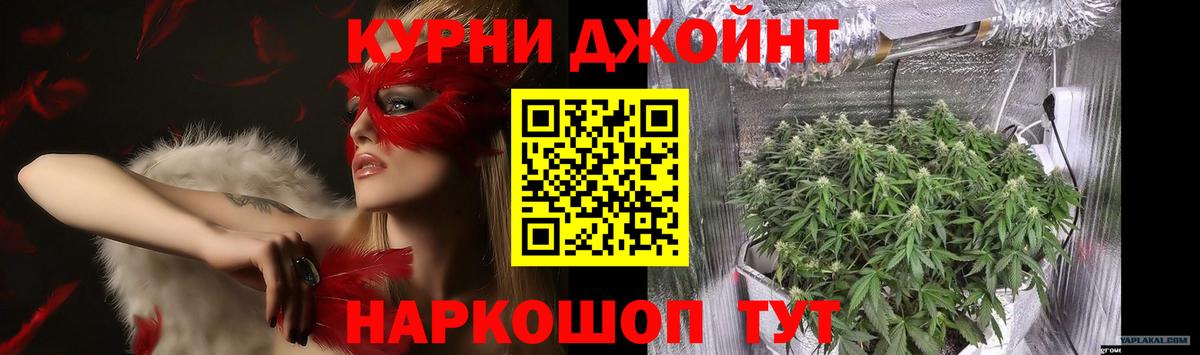 Шишки марихуана планчик Серов